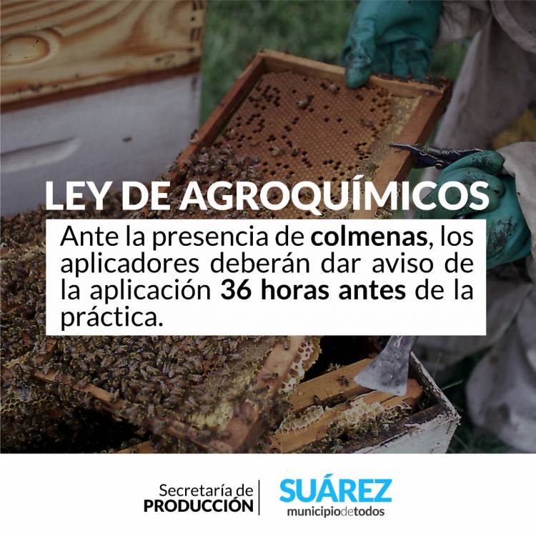 Ley de Agroquímicos: Ante la presencia de colmenas los aplicadores deberán dar aviso de la aplicación 36 horas antes de la práctica