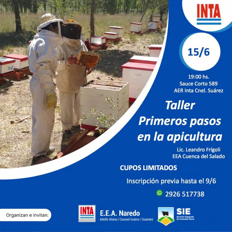 Taller de apicultura y manejo de la vaca al momento del parto del INTA