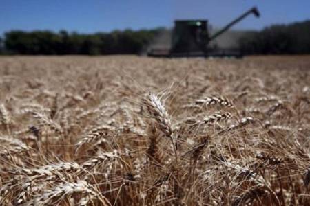 La caída de AFIP paraliza el mercado de granos en plena cosecha