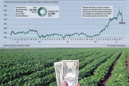 Destrucción de la soja: cayó más de 100 dólares desde su máximo del 12 de mayo