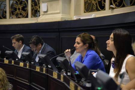 Diputados bonaerenses aprobó adherir a la Ley ‘Micaela’