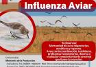 Indicaciones de SENASA para prevenir la Gripe Aviar