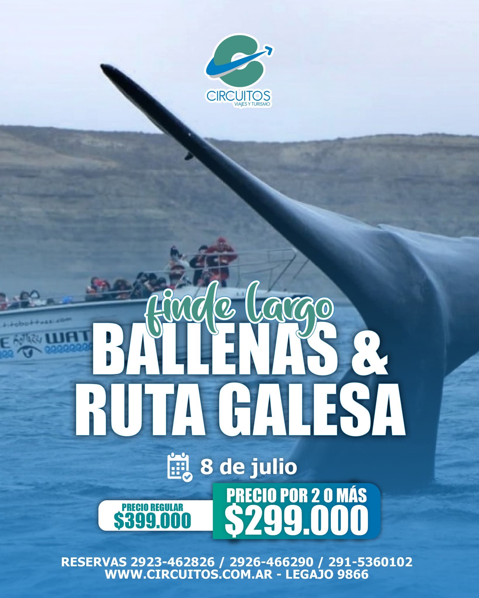 Ballenas y Ruta Galesa
