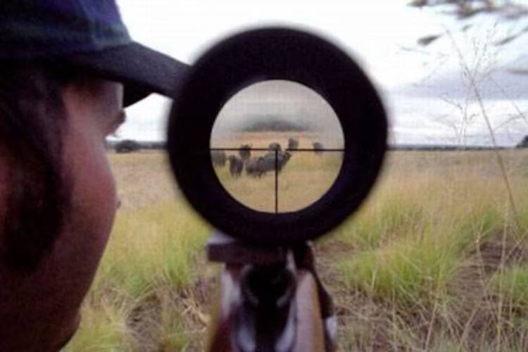 “De manera definitiva”: buscan prohibir la caza en campos privados bonaerenses y crear sanciones más duras para los infractores
