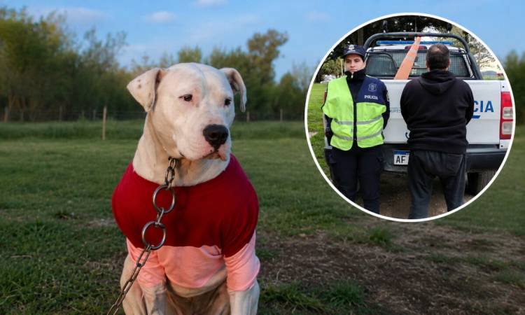 Mató de un escopetazo al perro de su vecino y quedó detenido