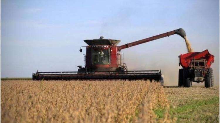 Por el impuesto a la riqueza, el campo perdería exportaciones por u$s 2400 millones