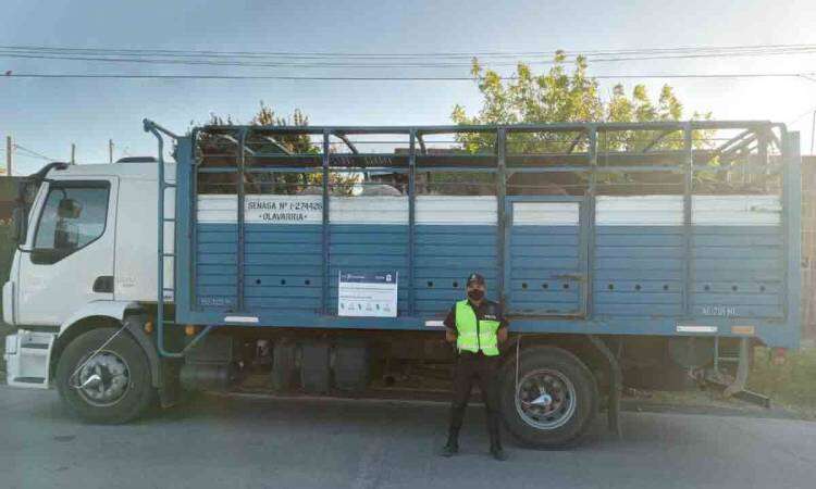 Los arrestan cuando cargaban un camión jaula con 18 caballos robados