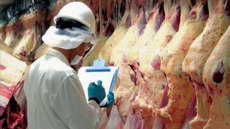 Carne: cepo light a exportaciones, Plan Ganadero y tres cortes 45% más baratos