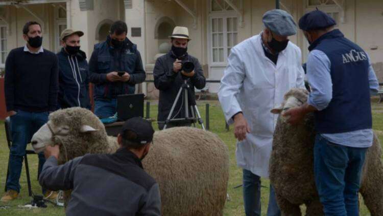 Bordeu: confirman que la exposición rural se realizará otra vez por streaming