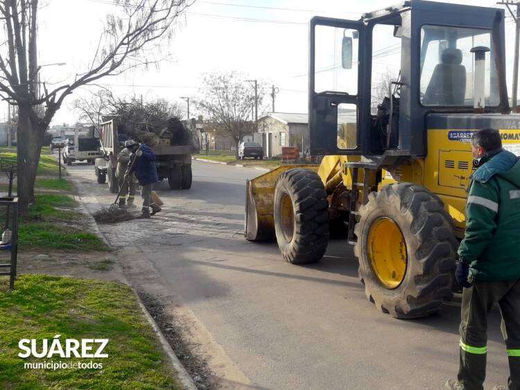 Atención vecinos de Pueblo San José: cronograma del servicio de recolección de ramas y bolsas