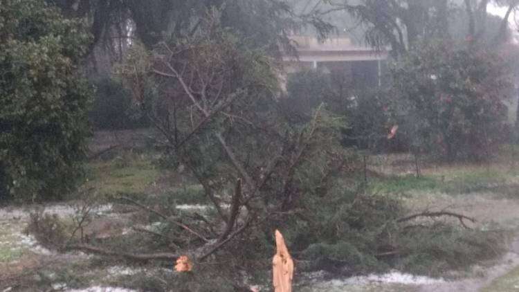 Grandes ráfagas de viento y granizadas afectaron la zona productiva de saladillo