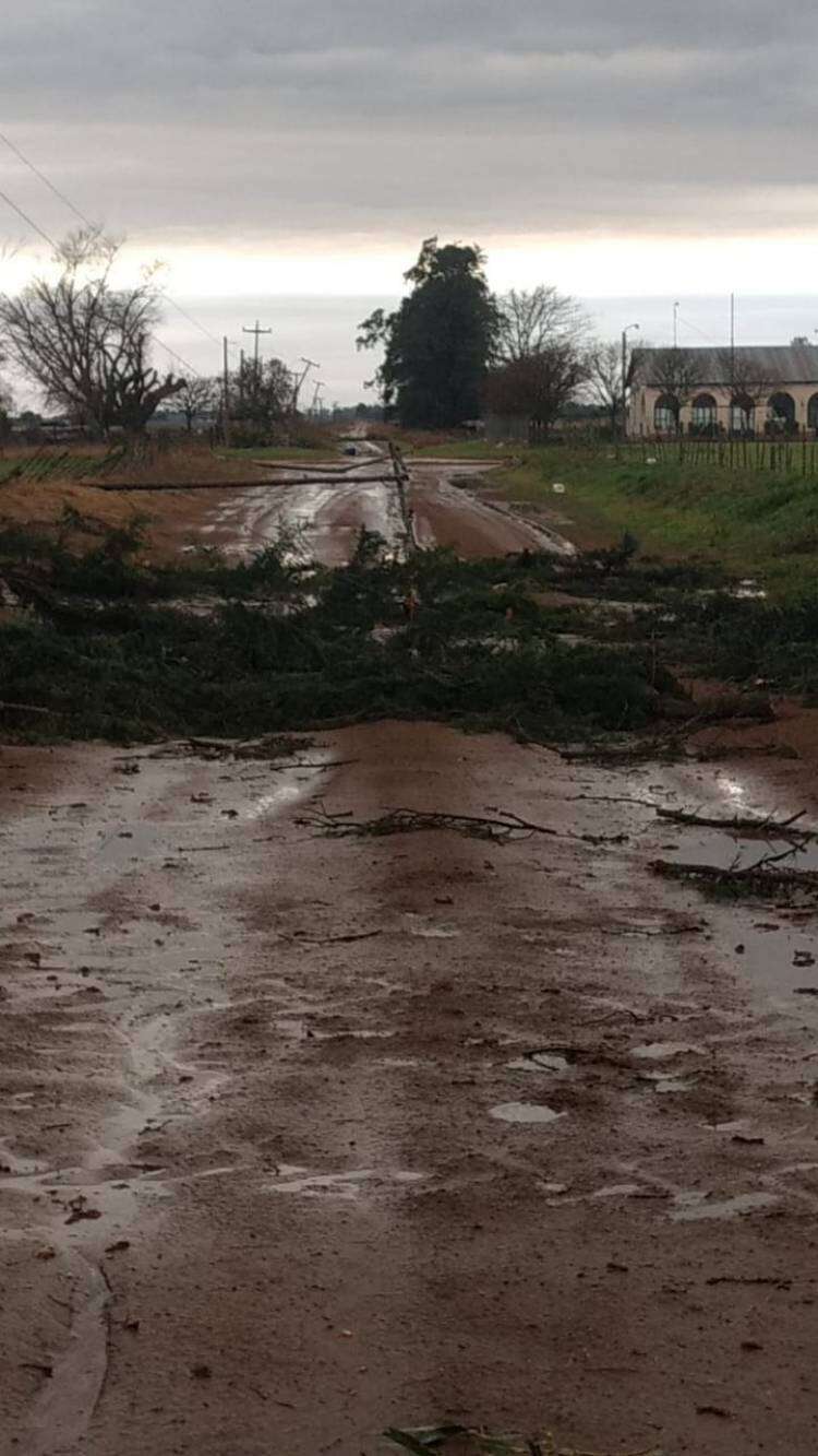 Grandes ráfagas de viento y granizadas afectaron la zona productiva de saladillo