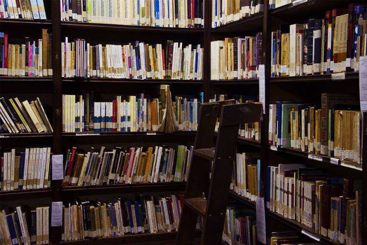 Programa Libro otorgará 60 millones de pesos a las bibliotecas populares