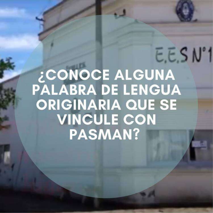 Proyecto de la Escuela Nº 11 de Pasman:  "Buscando Identidad para mi Secundaria"