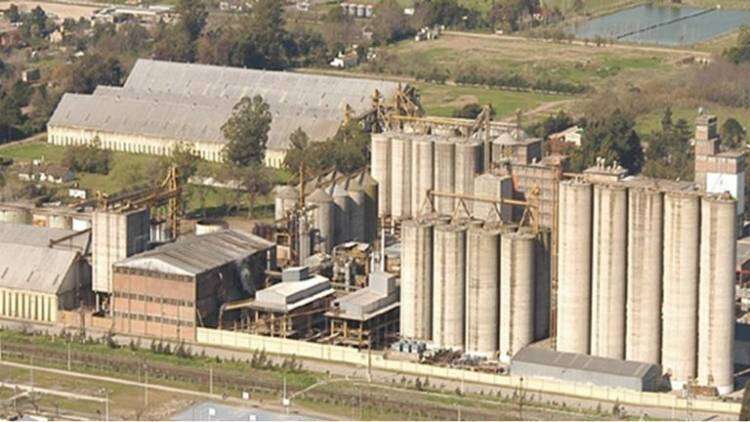 La gigante alimenticia Molino Cañuelas pidió un concurso preventivo de acreedores