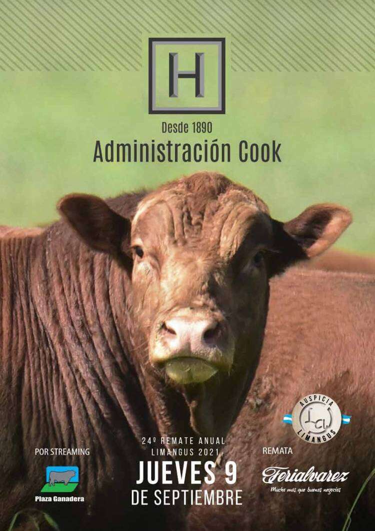 24º Remate Anual Limangus de Los Choles el jueves 9 de septiembre