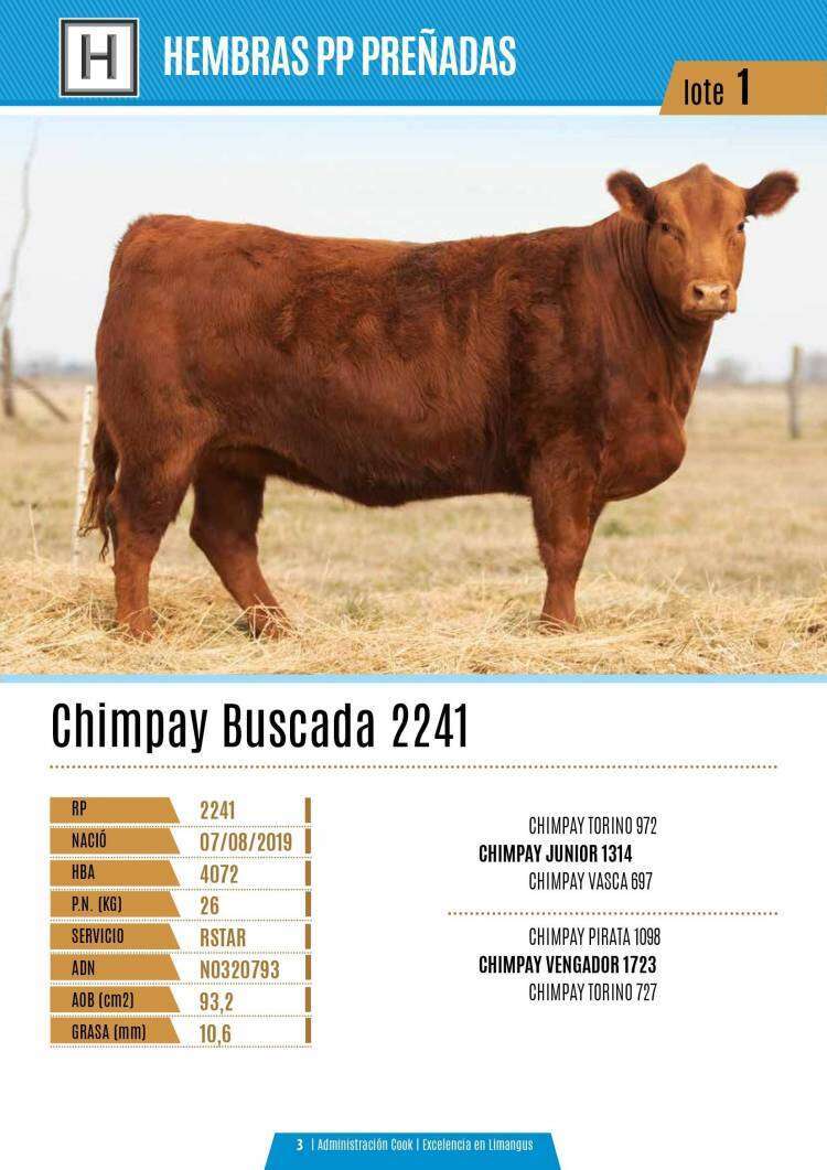 24º Remate Anual Limangus de Los Choles el jueves 9 de septiembre