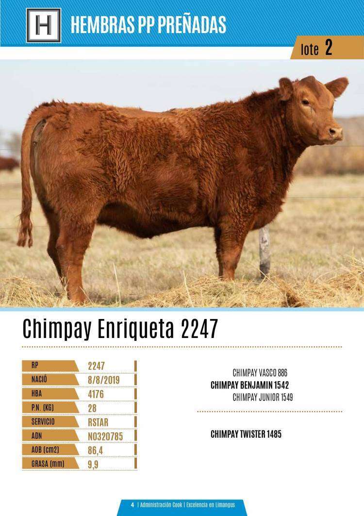 24º Remate Anual Limangus de Los Choles el jueves 9 de septiembre