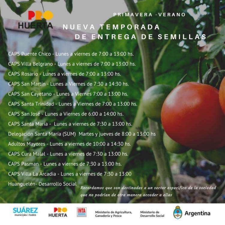Programa ProHuerta: se entregan semillas de primavera-verano