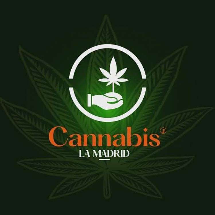 Alejandro Orbeo sobre los usos de marihuana: “acá el tabú en la sociedad se quebró hace un montón”