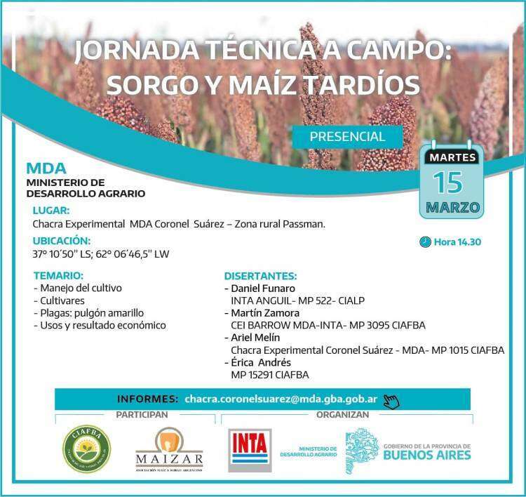 Jornada Técnica a campo sobre sorgo y maíces tardíos