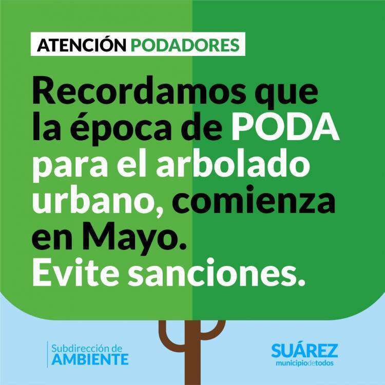 Poda del arbolado urbano