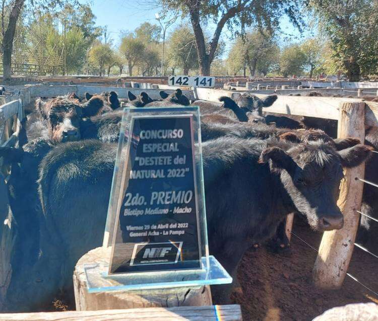 Segundo premio en "el destete del caldenal" en General Acha