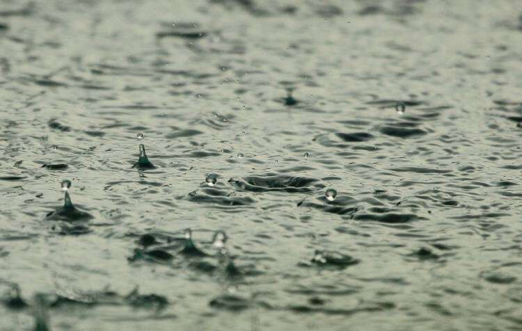 Lluvias: milimetrajes totales