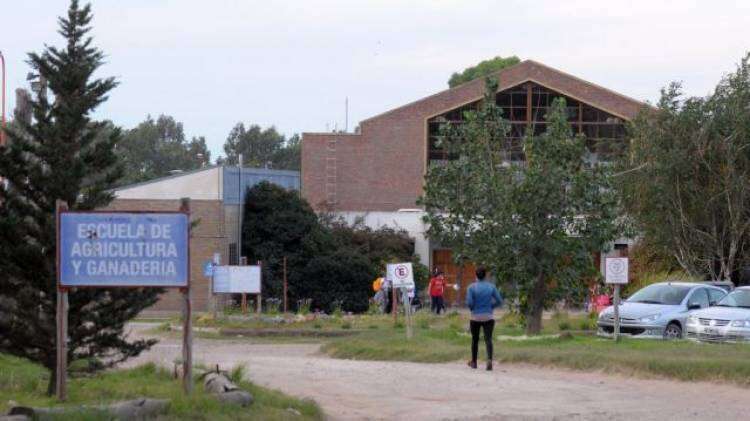 Ingreso al primer año de la Escuela de Agricultura y Ganadería