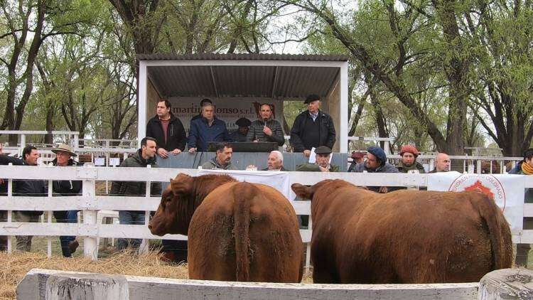 “La pandemia nos enseñó que el campo no se para nunca”