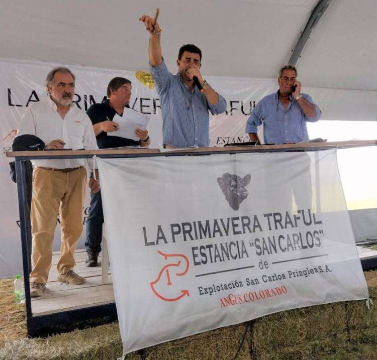 La historia no tiene precio