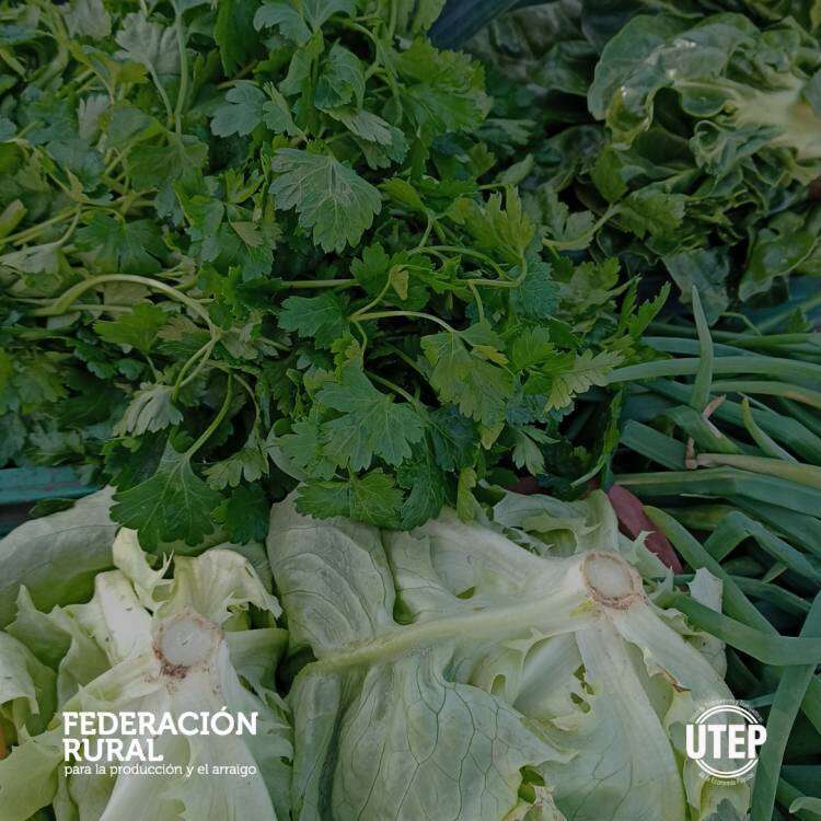 Nuevo puesto en el mercado regional