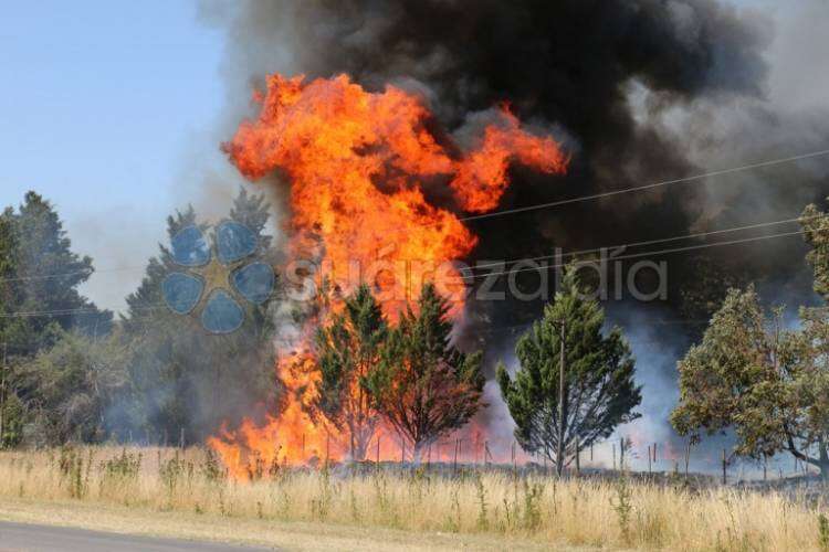 Un incendio forestal afectó varias hectáreas de campo en cercanías al casco urbano de Coronel Suárez