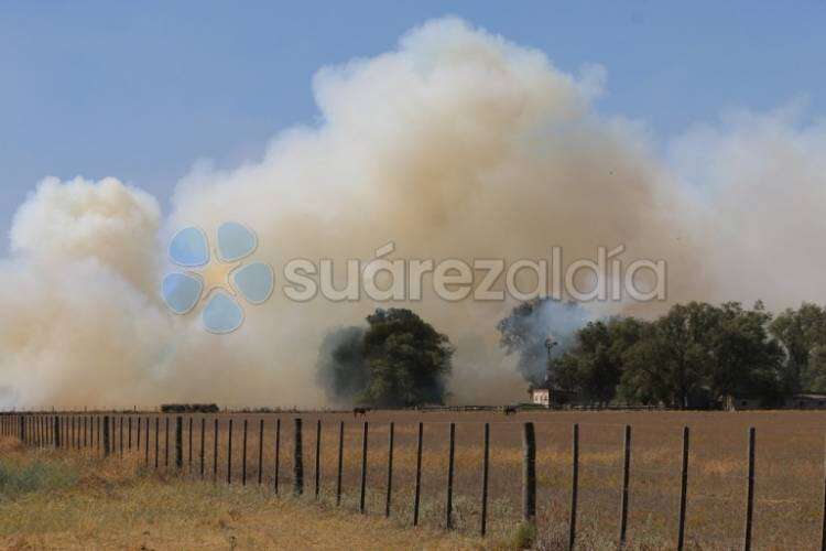Un incendio forestal afectó varias hectáreas de campo en cercanías al casco urbano de Coronel Suárez