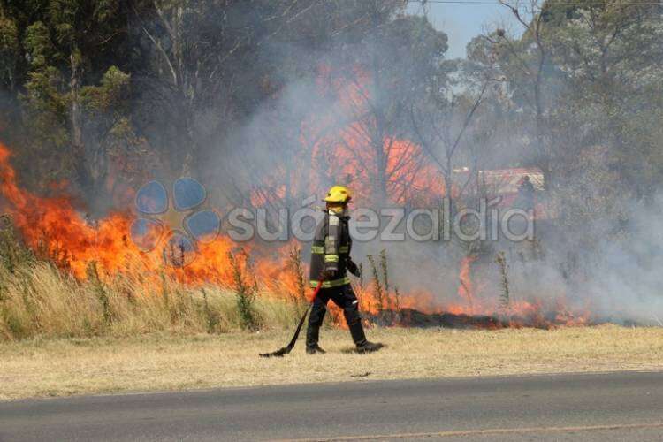Un incendio forestal afectó varias hectáreas de campo en cercanías al casco urbano de Coronel Suárez
