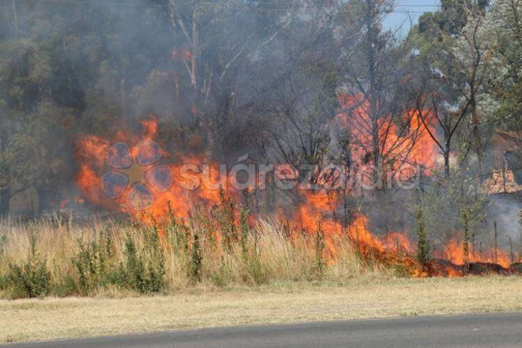 Un incendio forestal afectó varias hectáreas de campo en cercanías al casco urbano de Coronel Suárez
