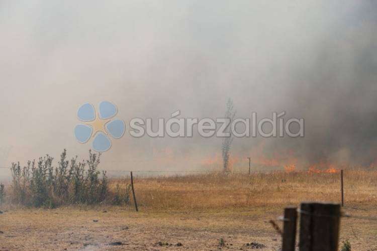 Un incendio forestal afectó varias hectáreas de campo en cercanías al casco urbano de Coronel Suárez