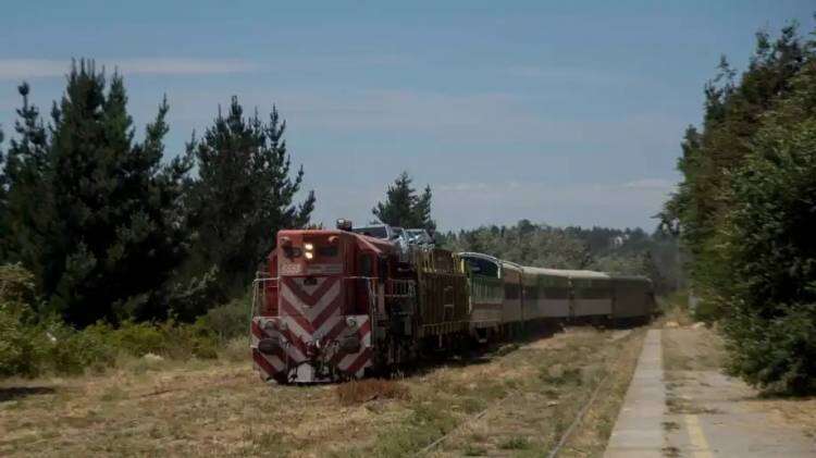 El tren llegó a Bariloche con la bandeja de autos, 44 horas después de salir de Viedma