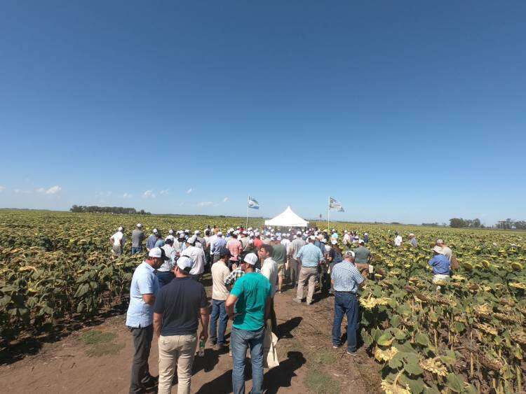 Jornada de Campo de Criadero El Cencerro