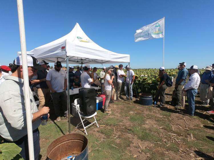 Presentaciones de los nuevos productos de El Cencerro