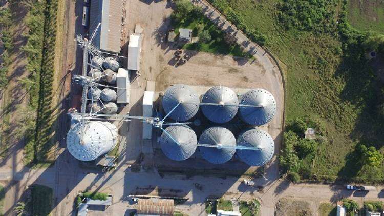 Los secretos de Tomás Hnos, la empresa argentina que ya factura US$ 400 millones al año: qué planes tienen