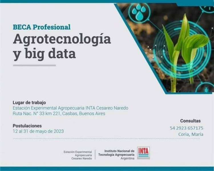Beca Técnica y tres Becas Profesionales en la EEA Cesareo Naredo