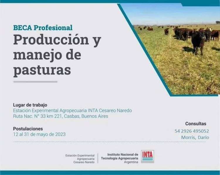 Beca Técnica y tres Becas Profesionales en la EEA Cesareo Naredo