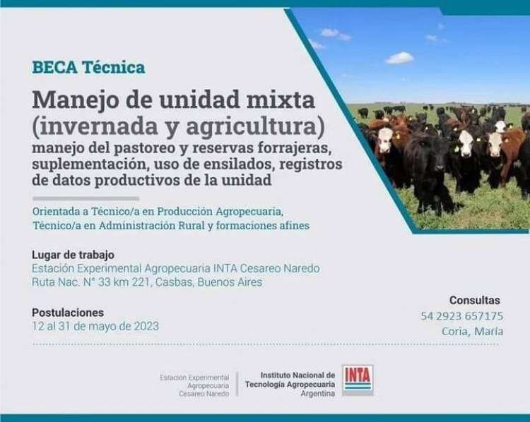 Beca Técnica y tres Becas Profesionales en la EEA Cesareo Naredo