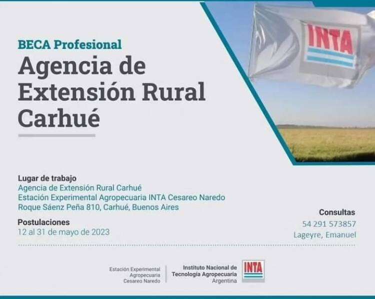 Beca Técnica y tres Becas Profesionales en la EEA Cesareo Naredo
