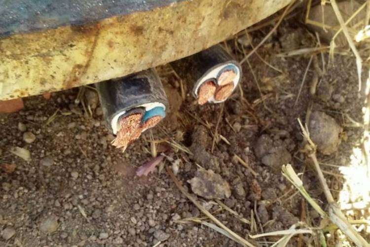 Se incrementan los casos de robo de cableado de equipos de riego en campos