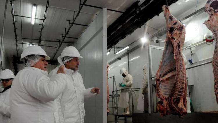 La carne vacuna vuelve a exportarse desde el puerto de Bahía Blanca 