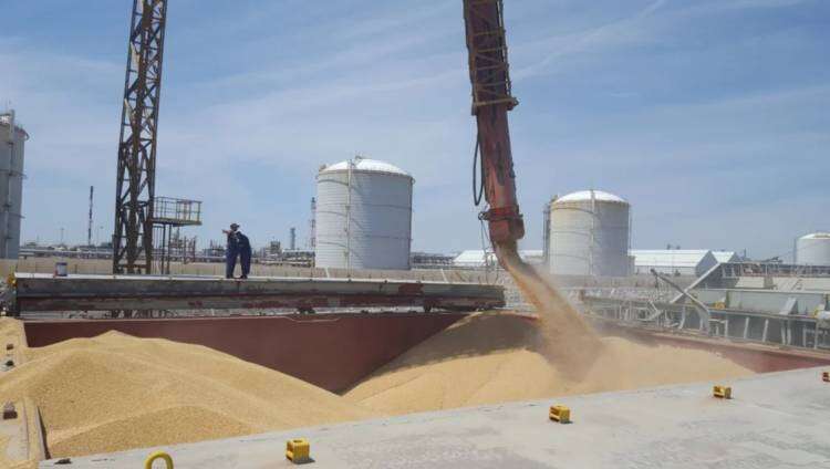Detectan faltantes de granos por $188 millones en una cerealera de Bahía 