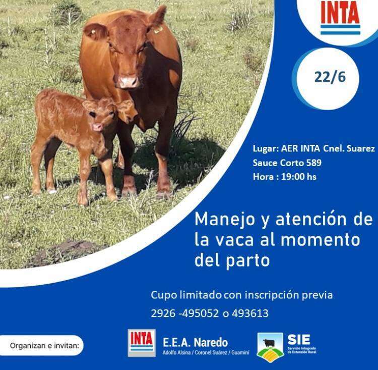 Taller de apicultura y manejo de la vaca al momento del parto del INTA