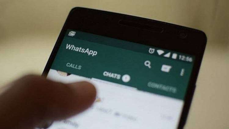 Vot-A: la Cámara Nacional Electoral lanzó un ChatBot para responder dudas sobre las elecciones